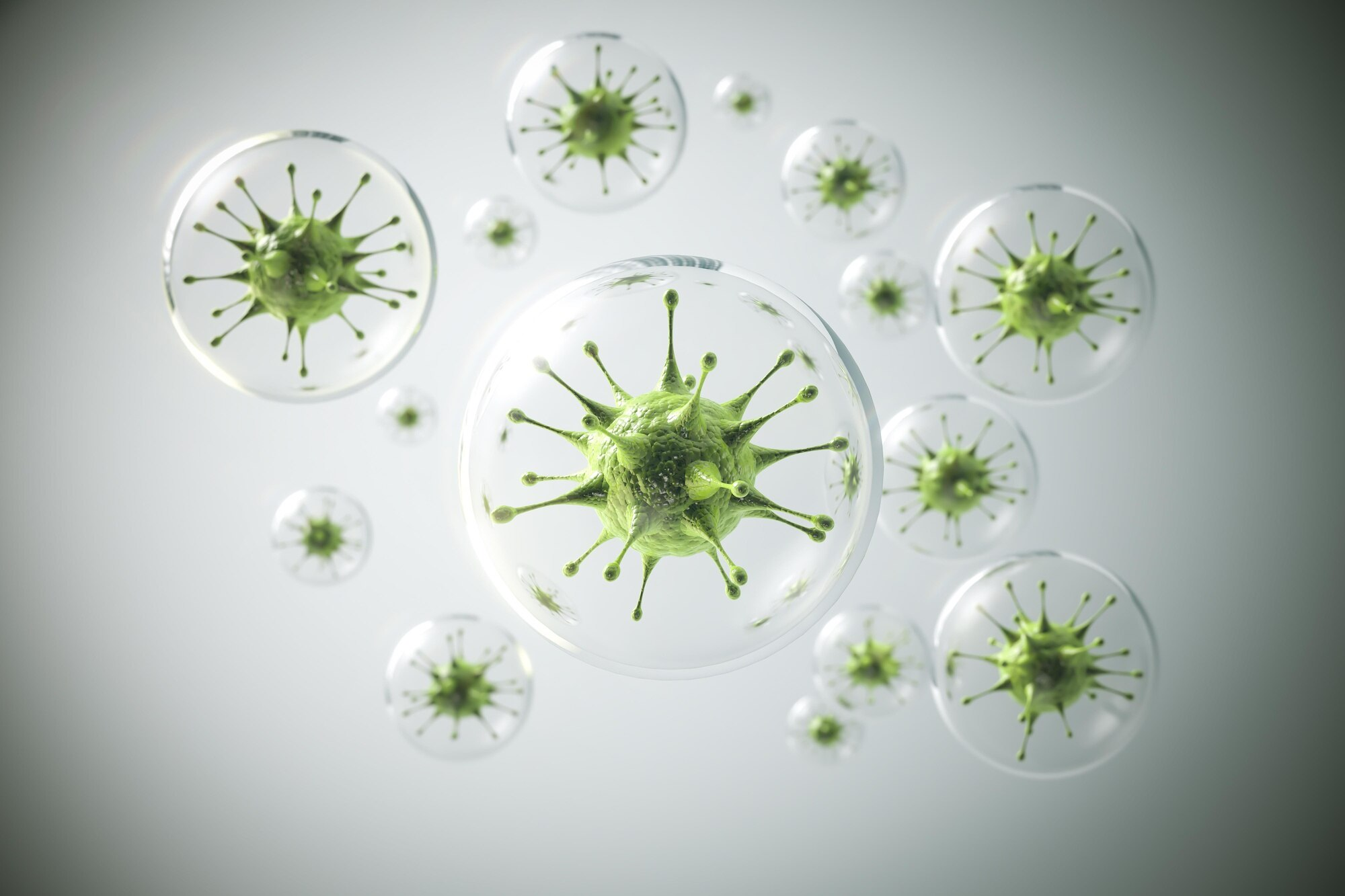 How Your Immune System Fights Viruses, and Simple Ways to Support It